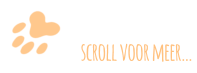 scroll voor meer…
